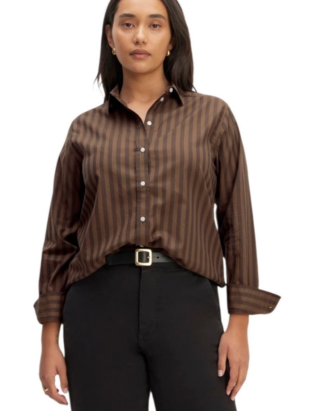 Everlane The Must-Have Shirt in Silky Cotton Brown Striped Button Down